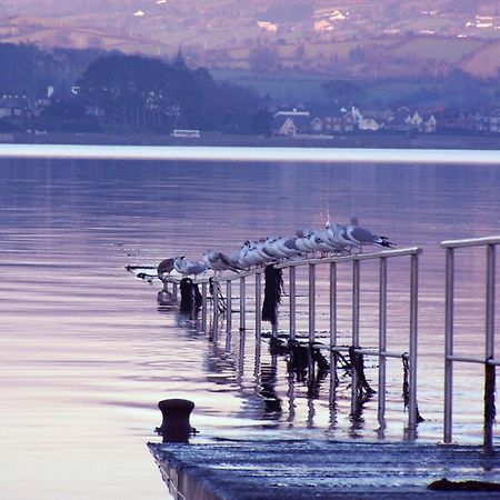 The Oystercatcher Lodge カーリングフォード エクステリア 写真