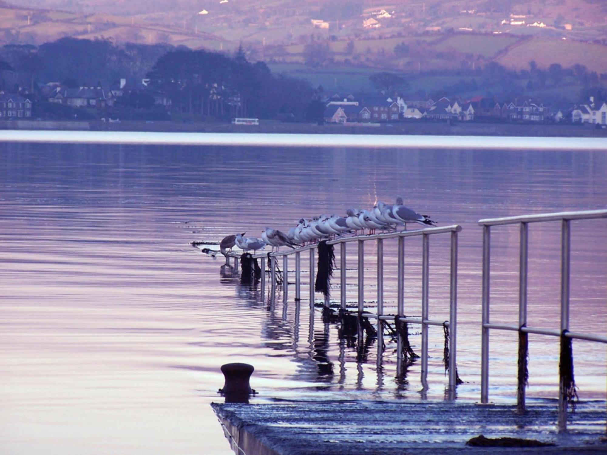 The Oystercatcher Lodge カーリングフォード エクステリア 写真
